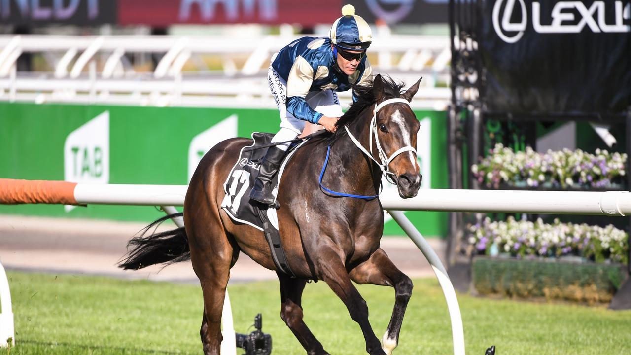 Sierra Sue is owned by some of the same owners as Sir Dragonet and Verry Elleegant. Photo: Natasha Morello/Racing Photos via Getty Images