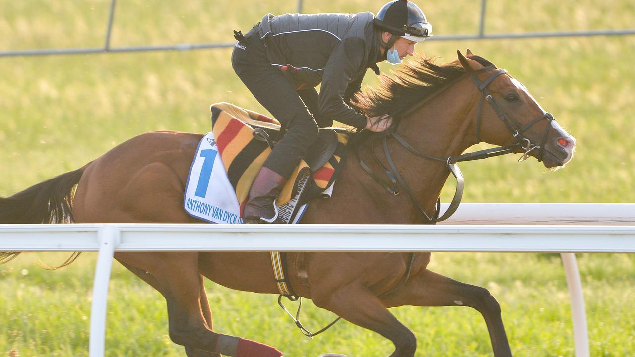 Hugh Bowman riding trackwork on Anthony Van Dyck at Werribee.