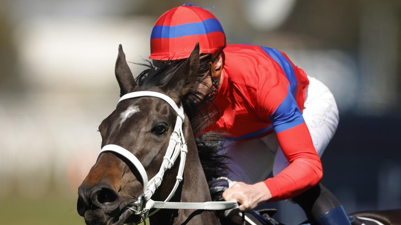 Verry Elleegant won the 2020 Caulfield Cup. (Photo by Mark Evans/Getty Images)