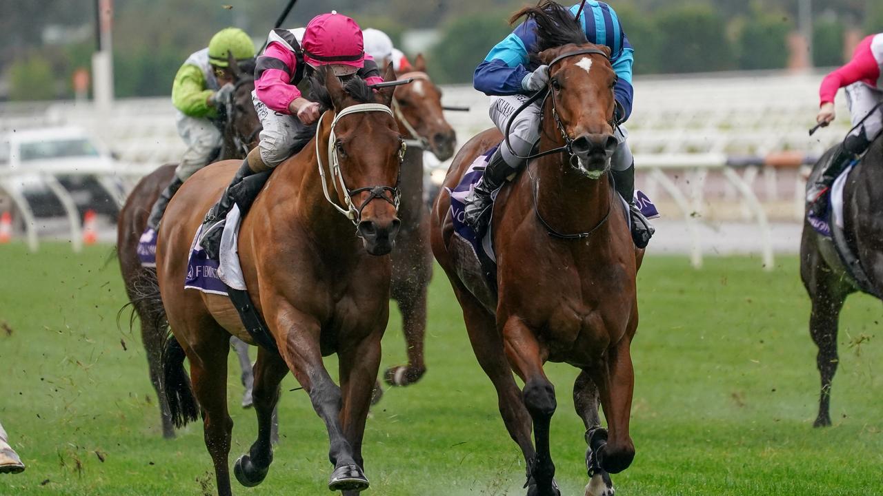 Alfa Oro (pink cap) is a popular pick for Round 3 of SuperCoach Racing. Picture: Natasha Morello/Racing Photos via Getty Images