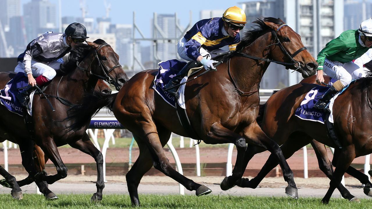 Aktau has been forced out of the Caulfield Cup. Photo: George Salpigtidis/Getty Images