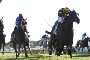 Probabeel showed her class in the Epsom Handicap.