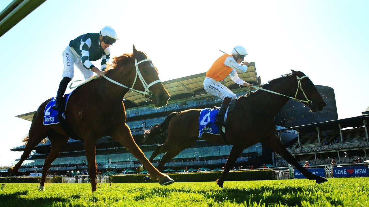 Hugh Bowman drives Montefilia home over the top of Hungry Heart to win the Flight Stakes. Photo: Getty Images