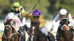 Hush Writer (yellow) is a leading The Metropolitan contender. Photo: Mark Evans/Getty Images