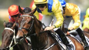 Young Rascal will race on a firm track but trainer Archie Alexander said the stayer would improve with a change of tactics in Saturday’s Group 3 Bart Cummings.