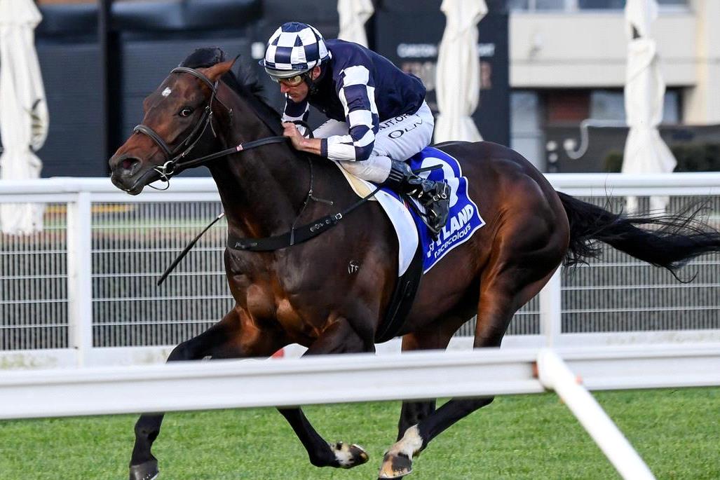 The skies the limit for the best horse in Australia.