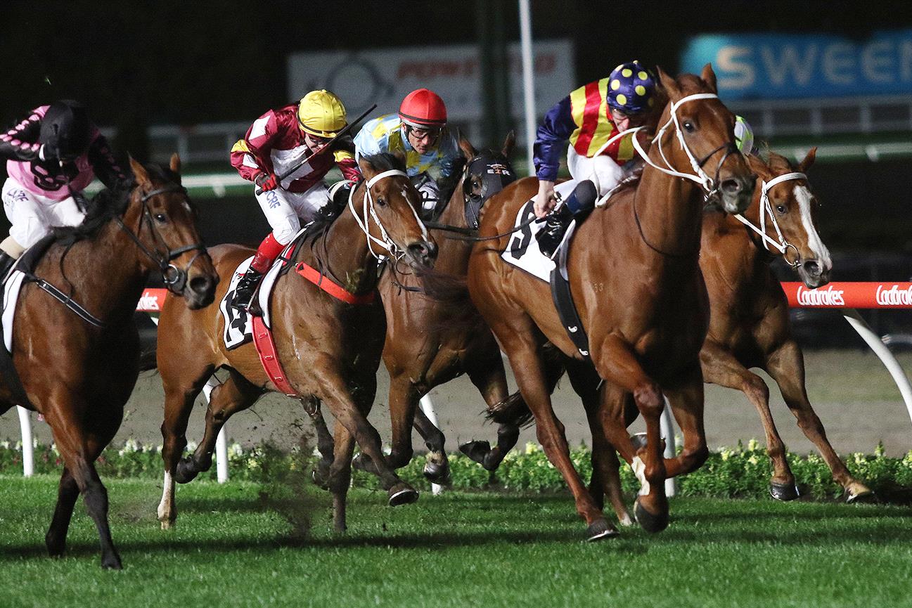 Nature Strip winning the 2019 Moir Stakes.