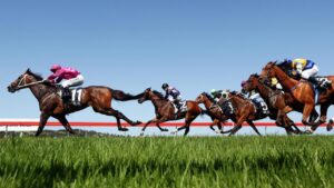 For Daily Telegraph. Sydney Metropolitan meeting at Kembla Grange racecourse. Race 5 winner Access Code ridden by Jay Ford.