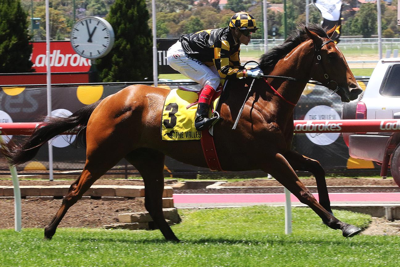 Craig Williams and Behemoth will combine again in the Sir Rupert Clarke Stakes.