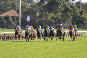 Midweek racing returns to the Canterbury Racecourse on Wednesday.