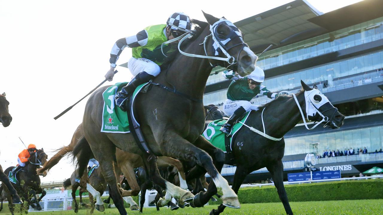 Mister Sea Wolf dug deep to win the Chelmsford Stakes. Picture: Getty Images