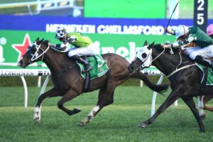 Mister Sea Wolf lands the Chelmsford Stakes.