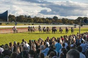 Plenty of races to bet on at Grafton