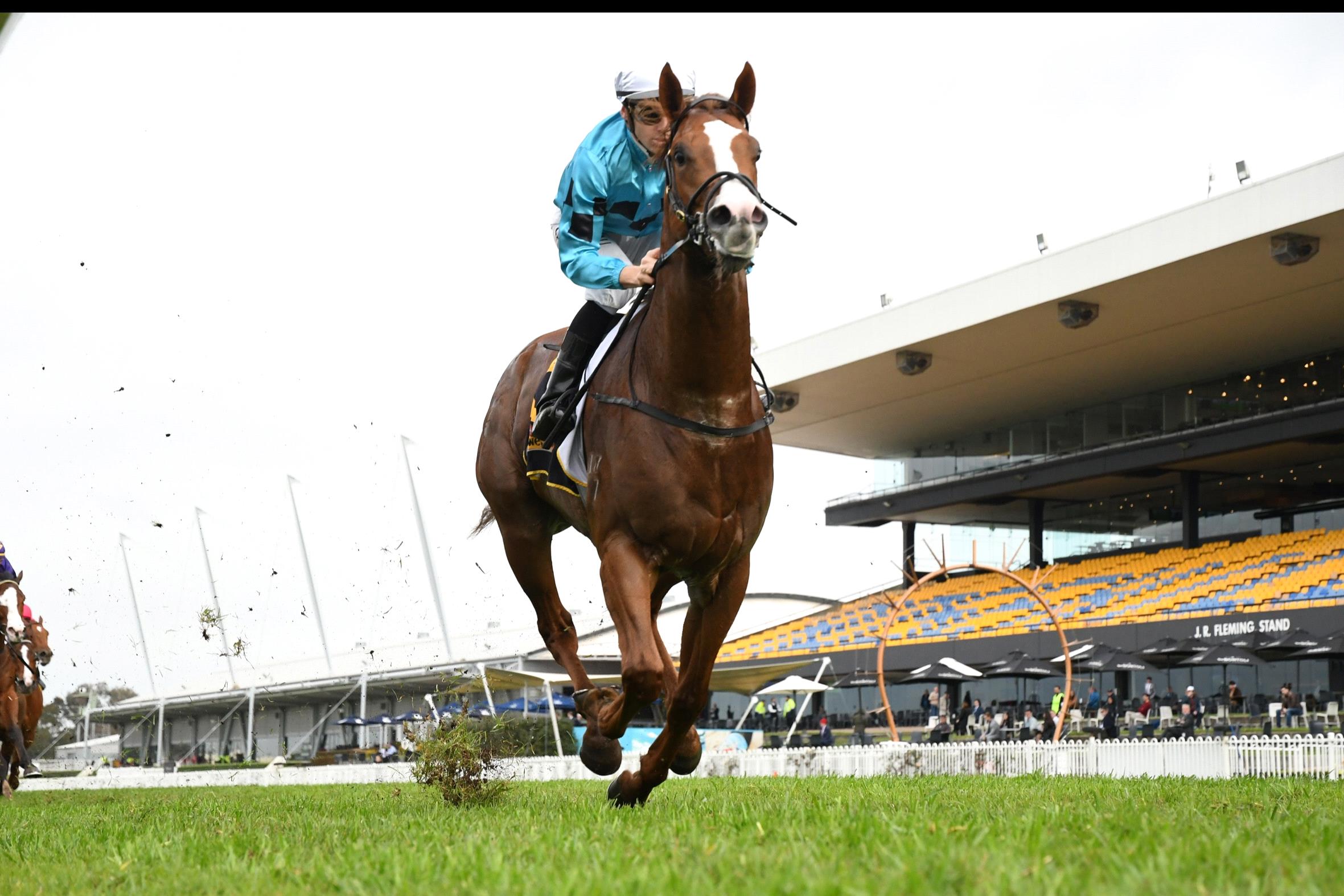 Anders is the favourite for the San Domenico Stakes.