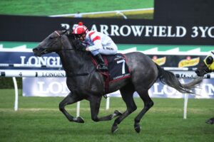 Classique Legend won his trial at Newcastle.