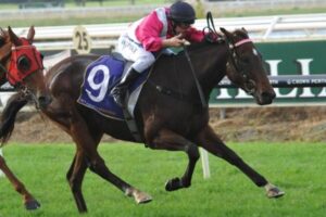 Delicacy died while in foal to Pierro.