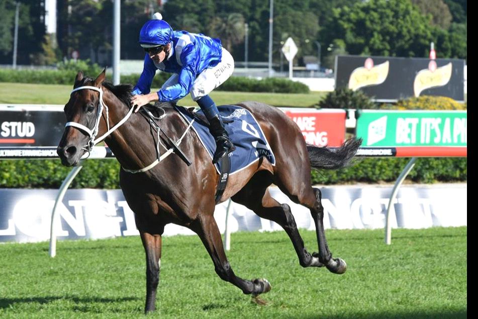 The Winx Stakes is the main event on Saturday.