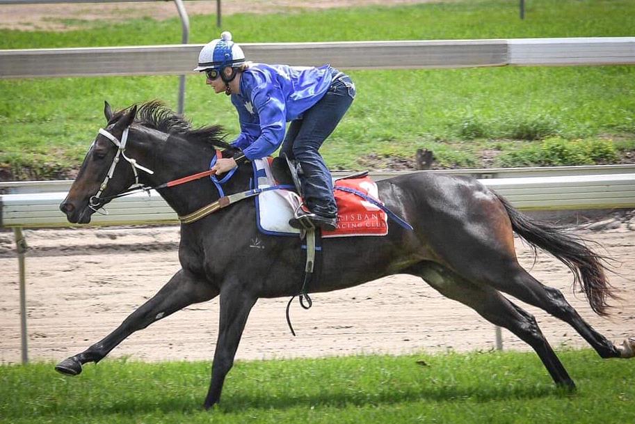 Inquiry Into Ride On Mark Currie trained Runner At Toowoomba Racenet