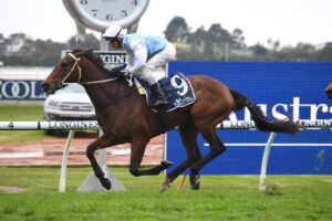 Montefilia showed her class in the opener at Rosehill.