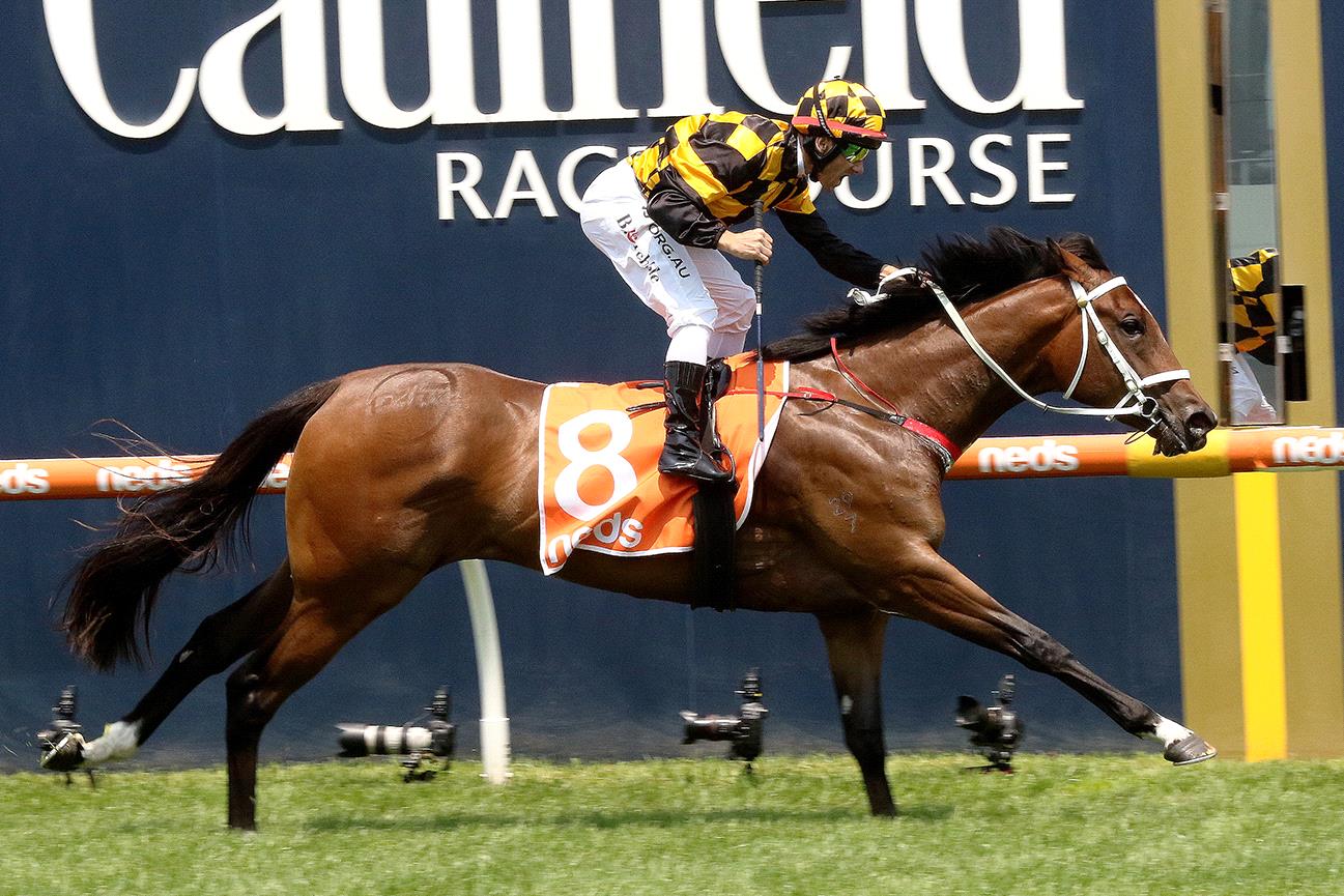 Letzbeglam will chase another victory in Saturday’s Blue Diamond Stakes.