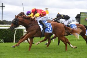 Prime Star won the $2 million Inglis Millennium.