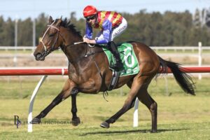 Eleven Eleven is the new winner of the Gold Coast Magic Millions Guineas.