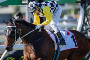 Ballistic Boy will be aimed at the 2021 Magic Millions carnival at the Gold Coast Racecourse.