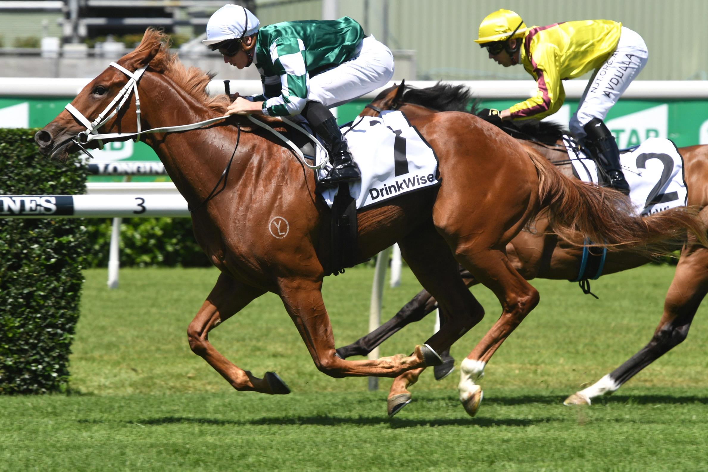 Hungry Heart will lead Chris Waller’s Flight Stakes assault.