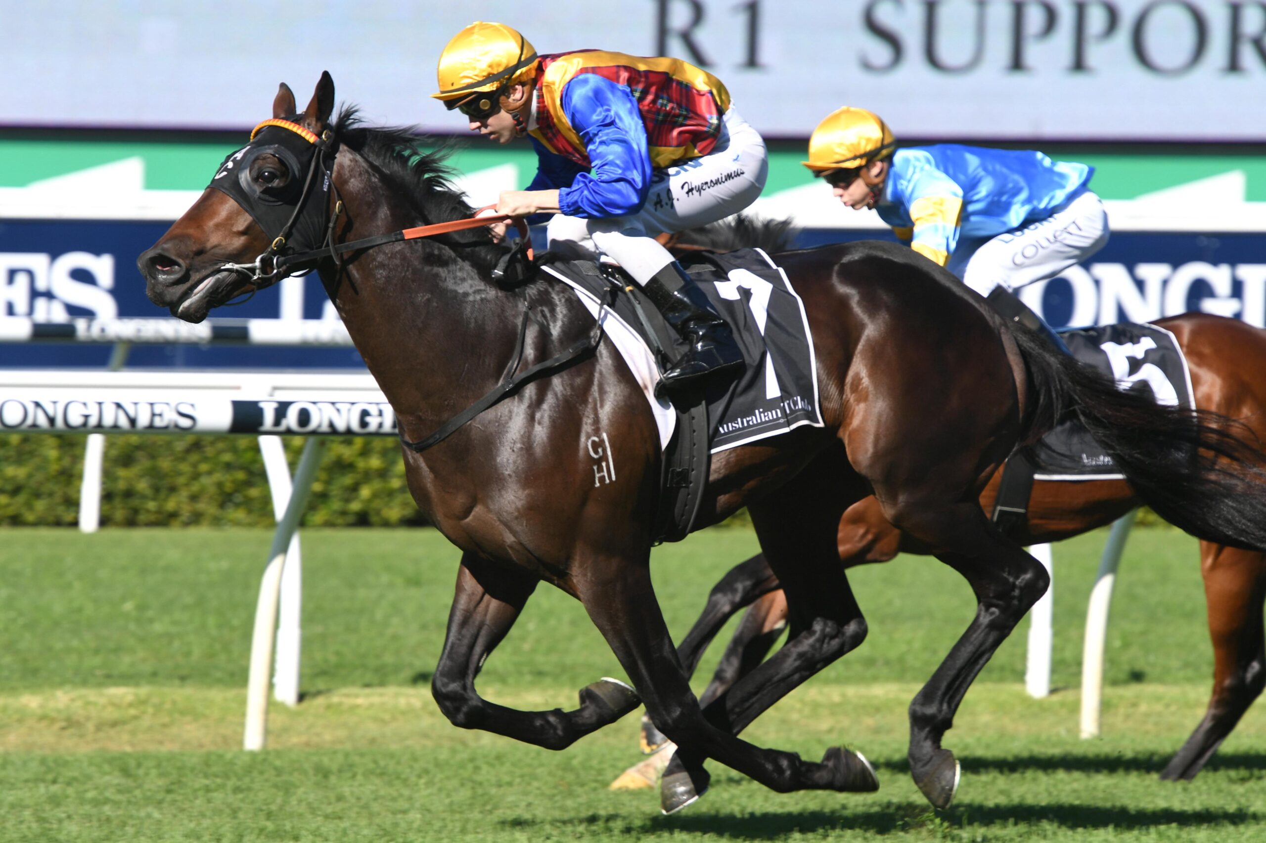 Prince Fawaz strolls home in the Supporterhub 2YO Handicap on Saturday.