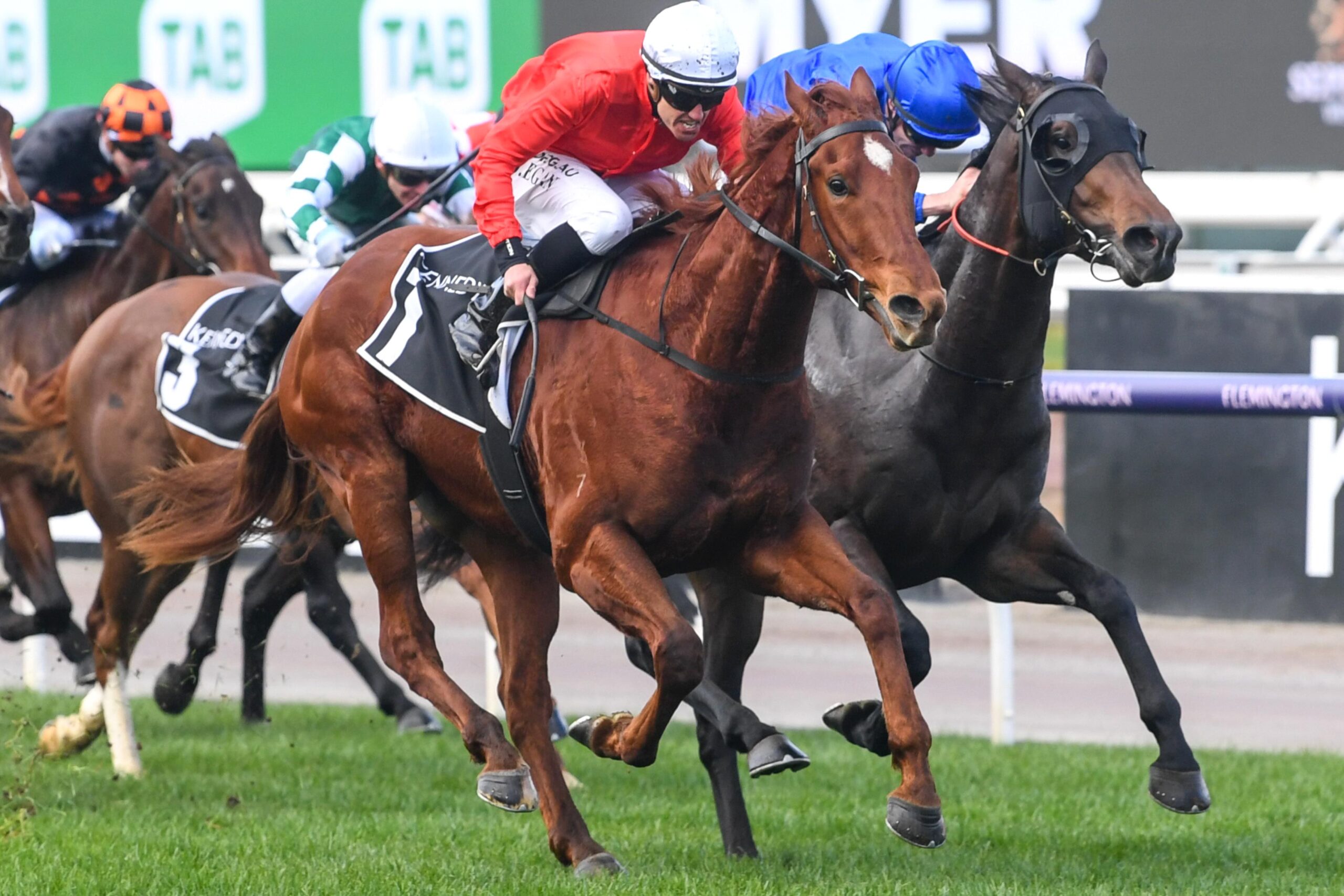 Cherry Tortoni stayed unbeaten in the Taj Rossi Series Final at the Flemington Racecourse.