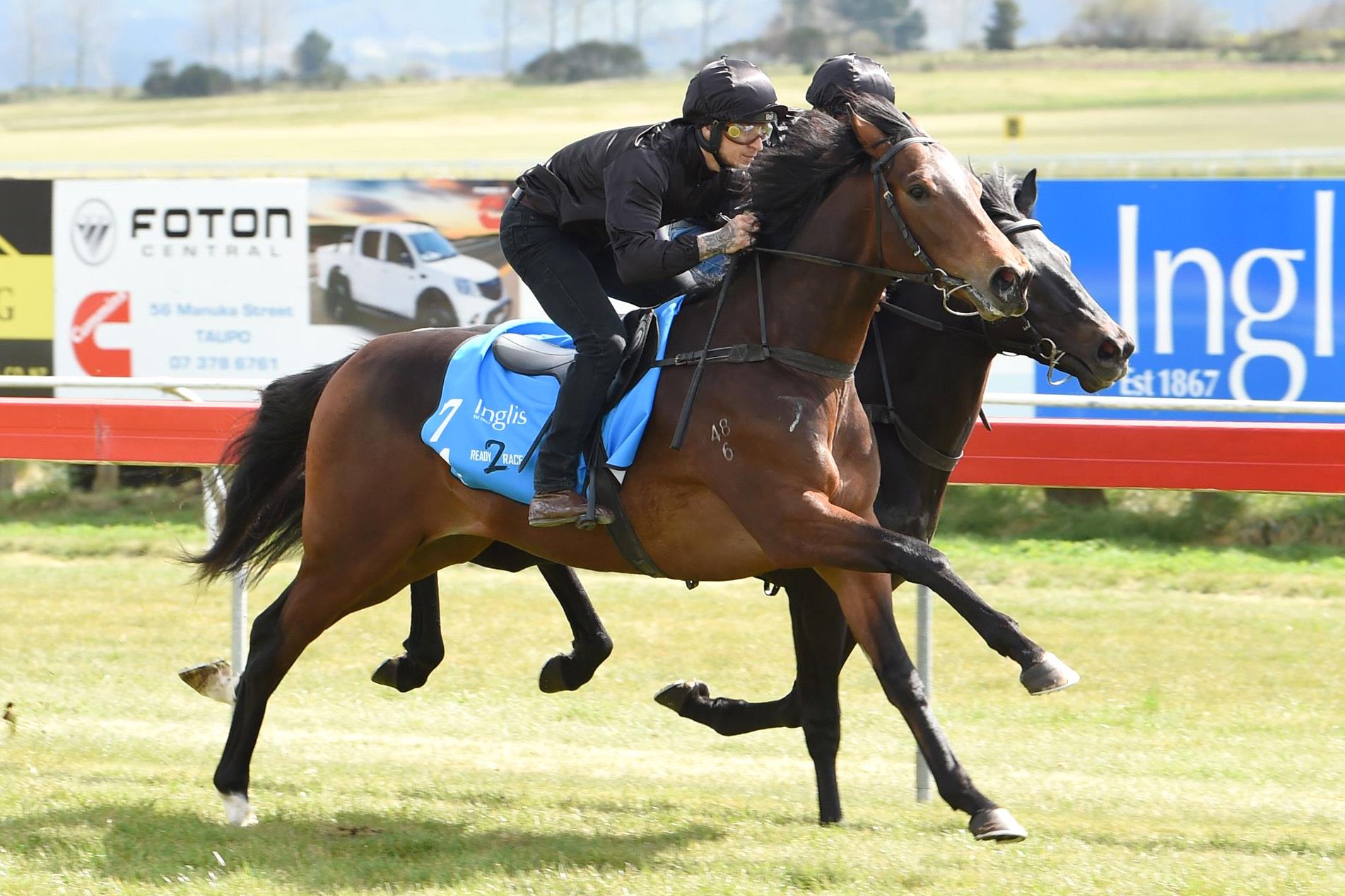 Travest during his breeze-up as a juvenile in 2018.