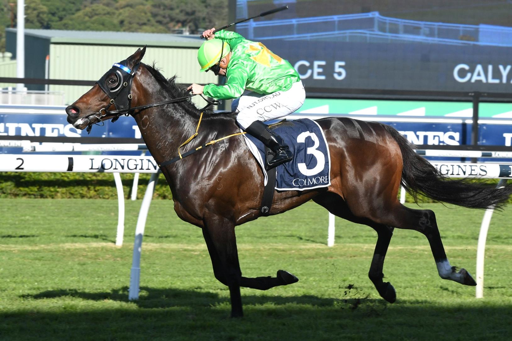 Oakfield Twilight wins at Randwick a fortnight ago.