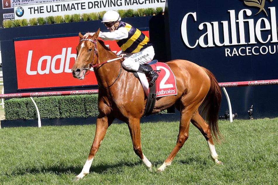 Gailo Chop after winning at Caulfield.