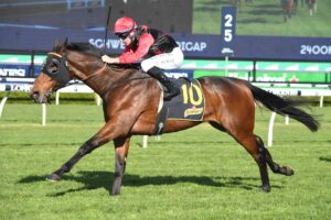 Terwilliker led all the way at Randwick.