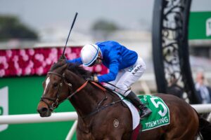 Trekking winning the 2019 Stradbroke Handicap.