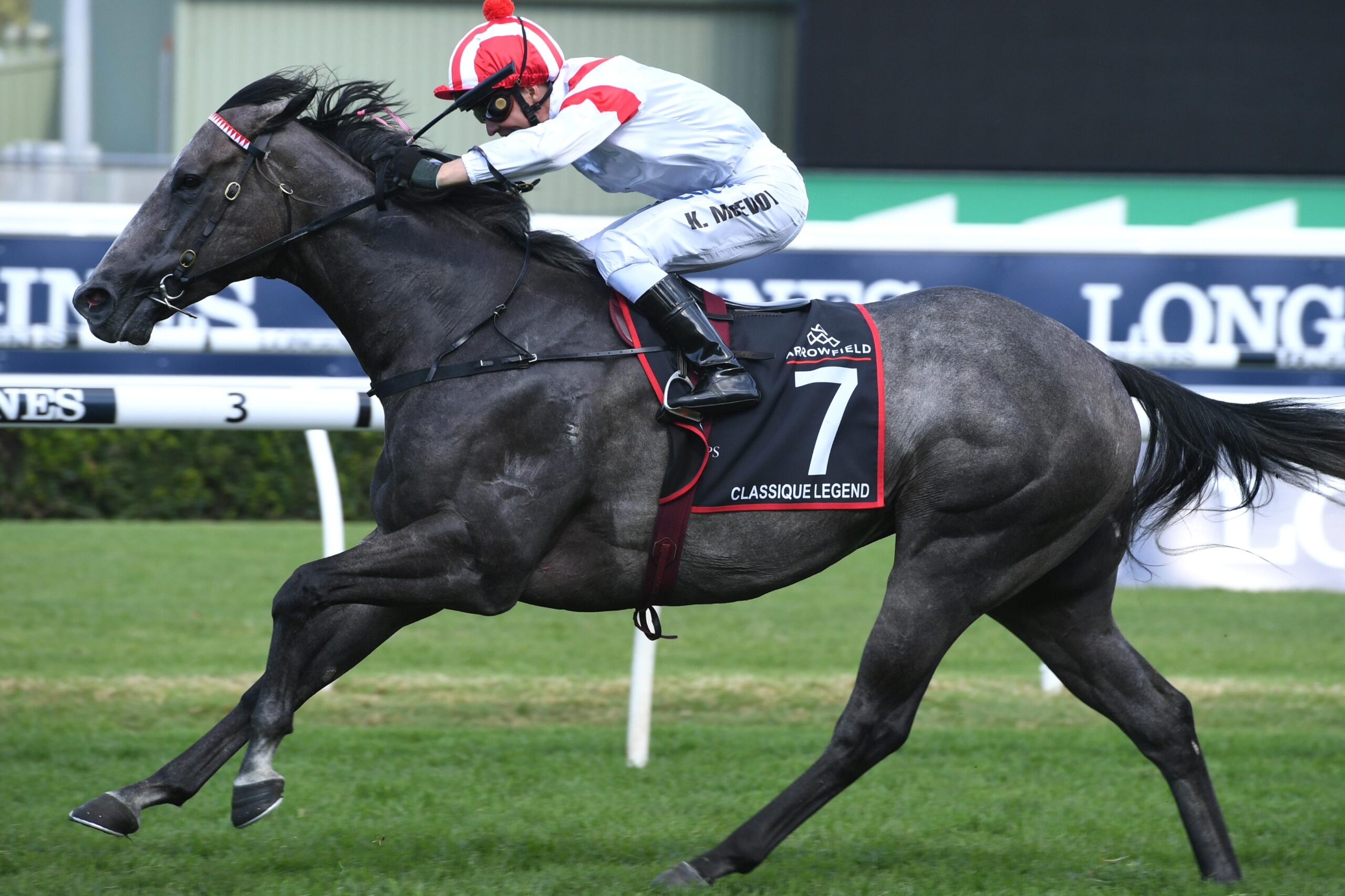 Classique Legend winning last year’s Arrowfield Stud Stakes.