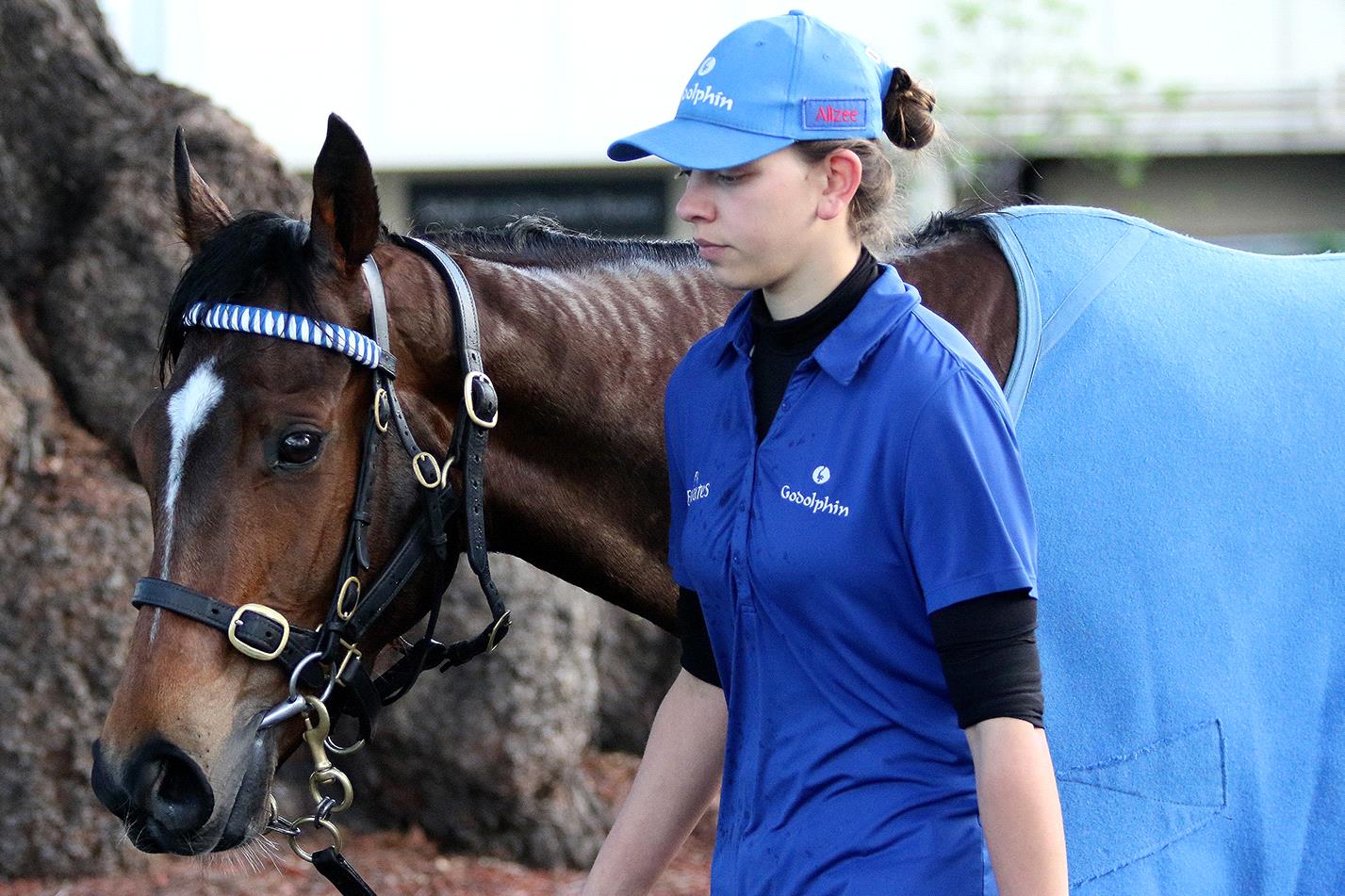 Exhilarates at trackwork.