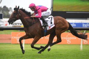 Archedemus wins recently at Rosehill.