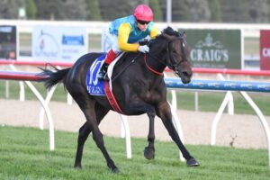 Super Girl will chase a Melbourne Cup start via the Andrew Ramsden at Flemington.