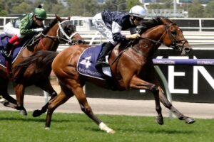 King Of Leogrance and Damian Lane easily claimed Monday’s Adelaide Cup.