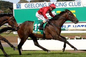 The 2018 Geelong Cup winner Runaway will tackle the 2020 Galleywood Hurdle.