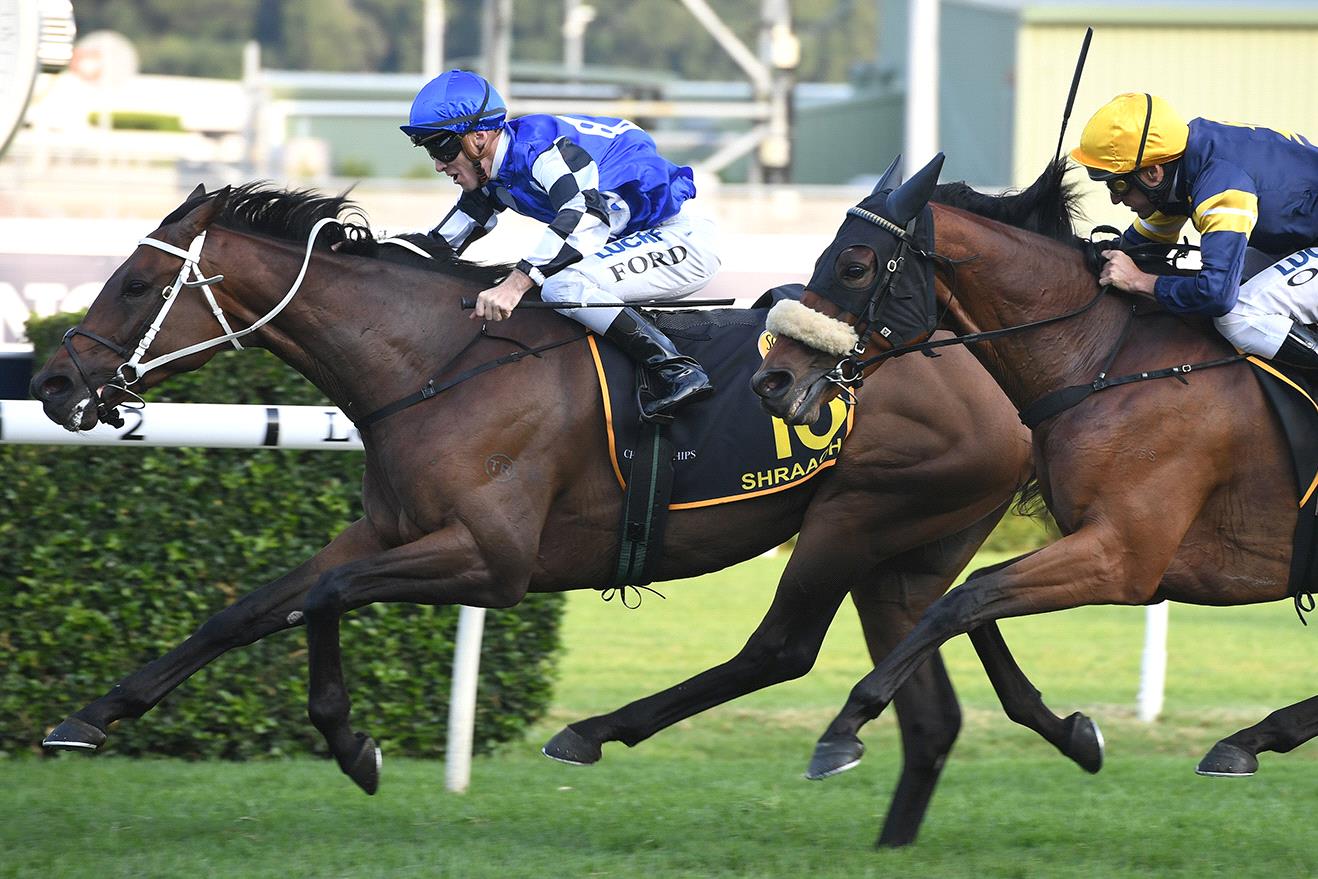 Shraaoh has been nominated for the Sydney Cup.