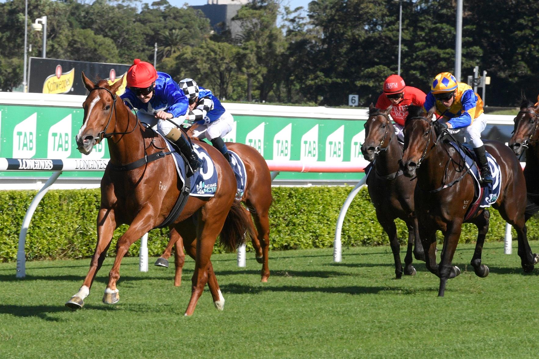 Fituese got the money at Randwick  for trainer John Thompson.