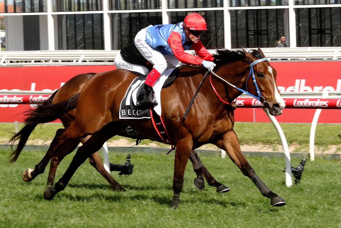 Admiral’s Joker will chase a spot in the All-Star Mile at Caulfield.