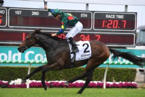 Alligator Blood won the Magic Millions Guineas.