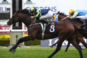 Brandenburg and Rachel King combined to win the Hobartville Stakes.