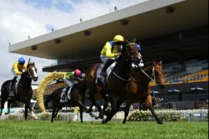 Young Rascal (yellow) won the Manion Cup.