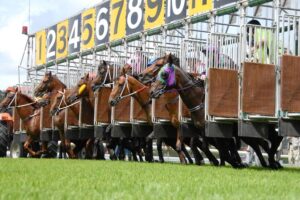 Canberra are racing at Queanbeyan Thursday