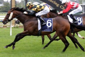 Probabeel will head to the Australian Oaks at Randwick.