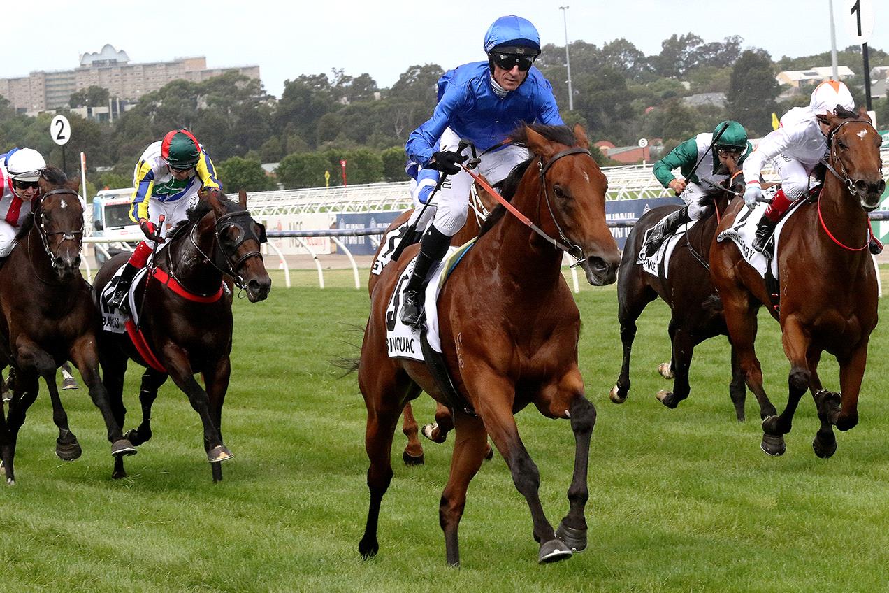 Glen Boss rides Bivouac to win the 2020 Newmarket Handicap.